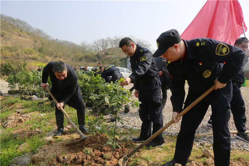 云顶国际(集团)官方网站